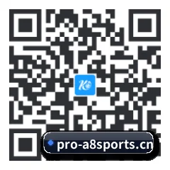 系统版 Android 二维码